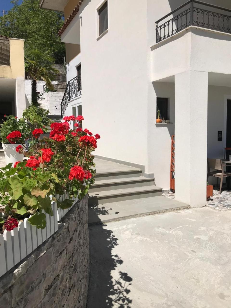 Villa Qeli Gjirokastër Exteriér fotografie