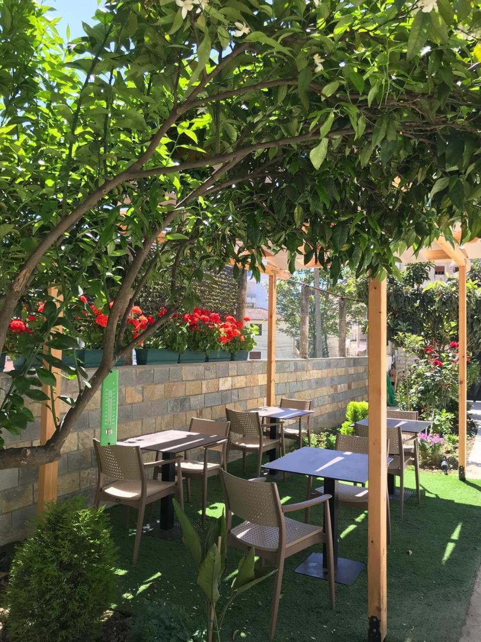 Villa Qeli Gjirokastër Exteriér fotografie